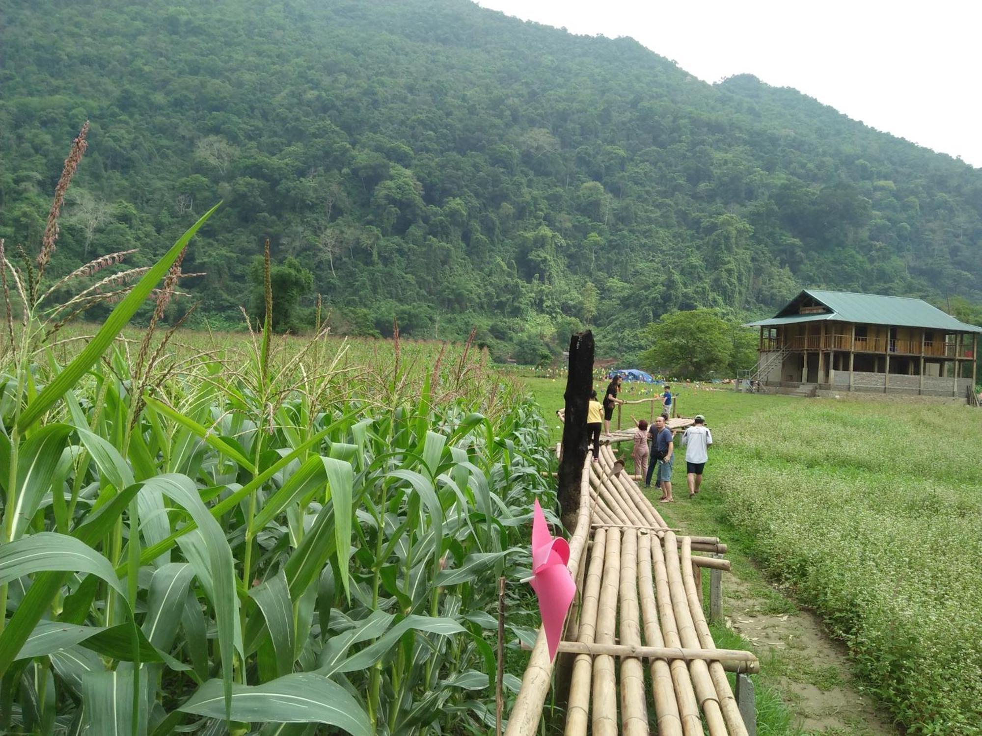 Tran Xuan Homestay Ba Be 外观 照片